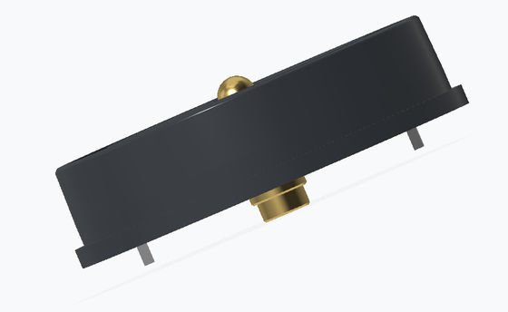 OD20.0mm Customized 5A Rounded 2Pin Magnetic Brass C6801 Pogo Pin Connector